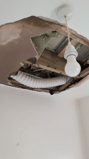Pimlico Plumbers — Customer photo