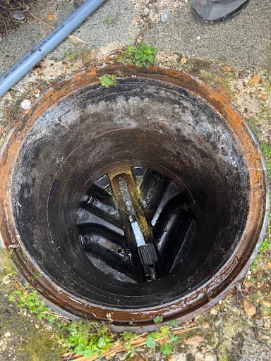 Drain Doctor Southampton — Customer photo